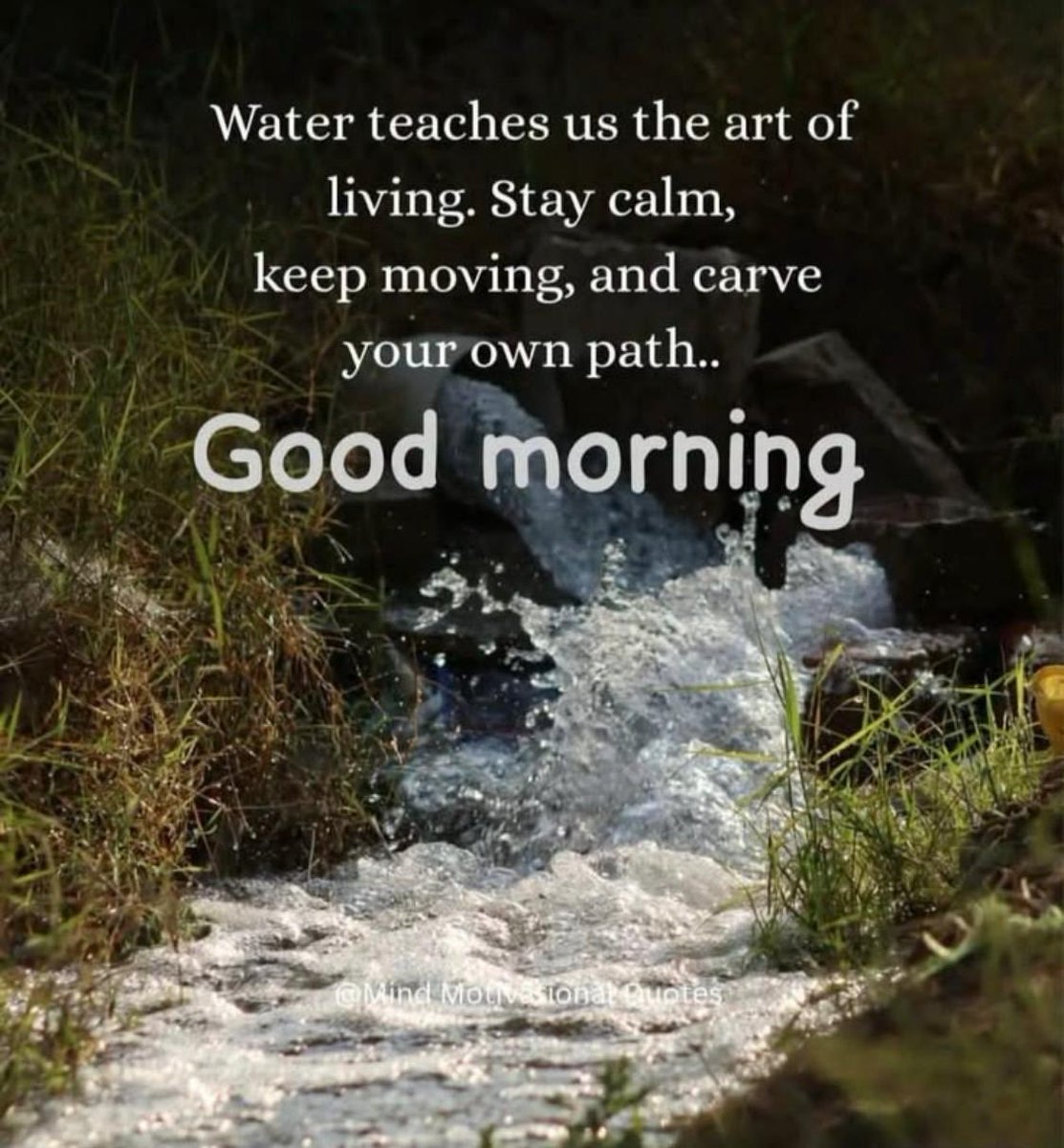 mashooq21865023's tweet photo. Have a good day 🌷 https://t.co/O6A3W6sWod