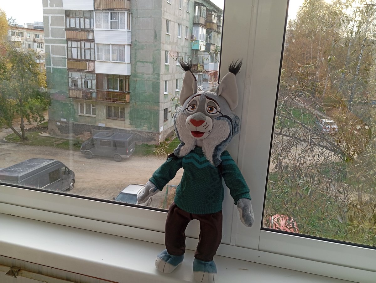 pawbert_777's tweet photo. I love the morning (especially when there’s no need to rush anywhere). Right now, Pawbert and I are just standing on the balcony, enjoying the morning https://t.co/ZmdnPQEDdB