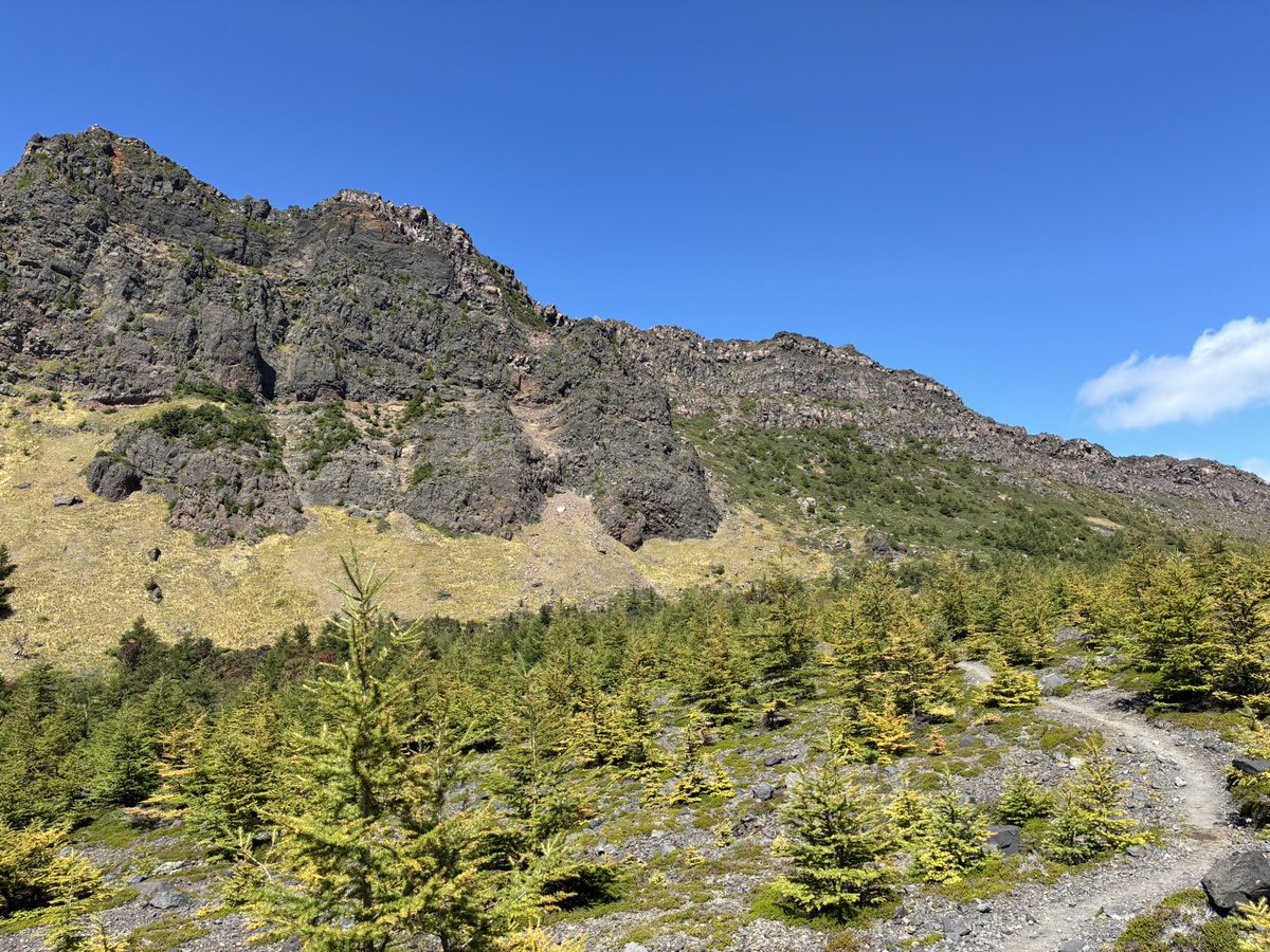 alcinist's tweet photo. ビックサンダーマウンテンみたいなところを歩いてます☺︎⛰️ https://t.co/T3AGjZokk4