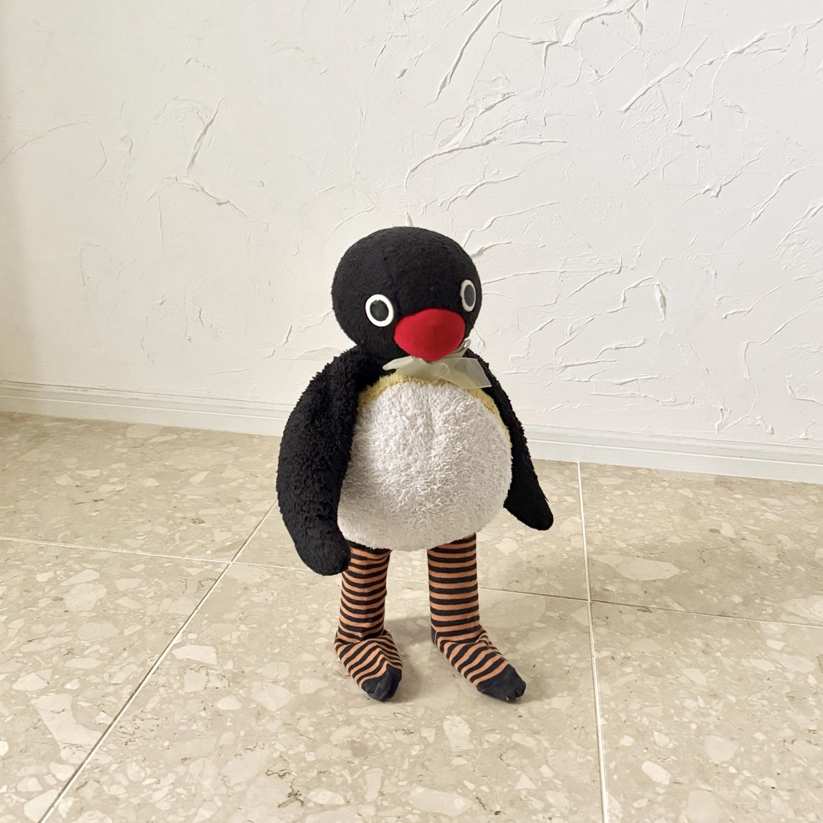 pingmyping's tweet photo. 🐧🧦 https://t.co/4fSn1uR4u6