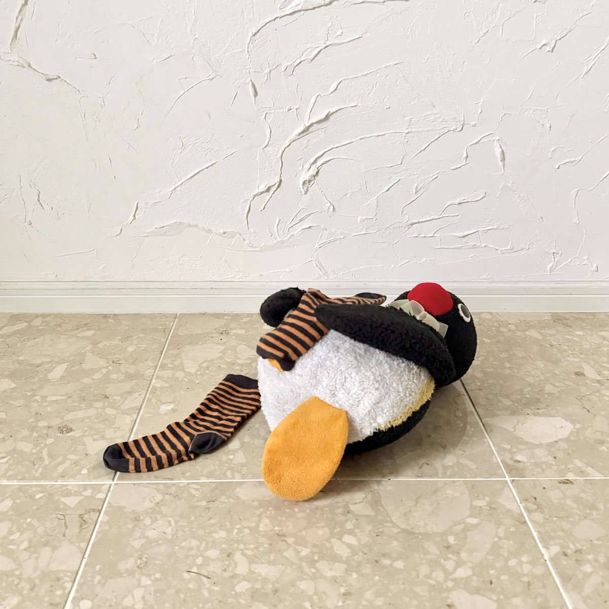 pingmyping's tweet photo. 🐧🧦 https://t.co/4fSn1uR4u6