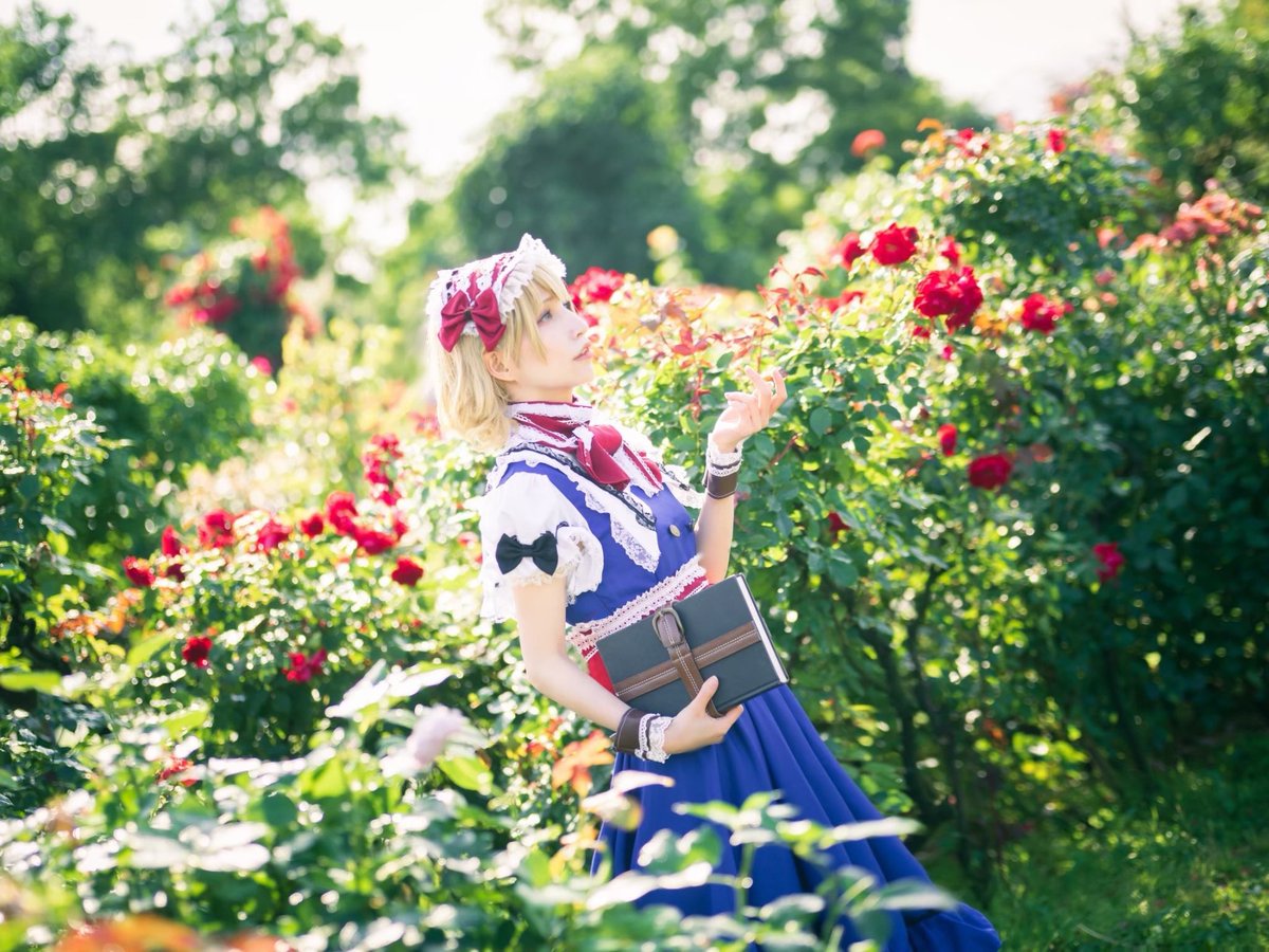 candybunny_22's tweet photo. 東方Project
アリス・マーガトロイド

photo @ra1ch4 https://t.co/vEBmWAHg2D