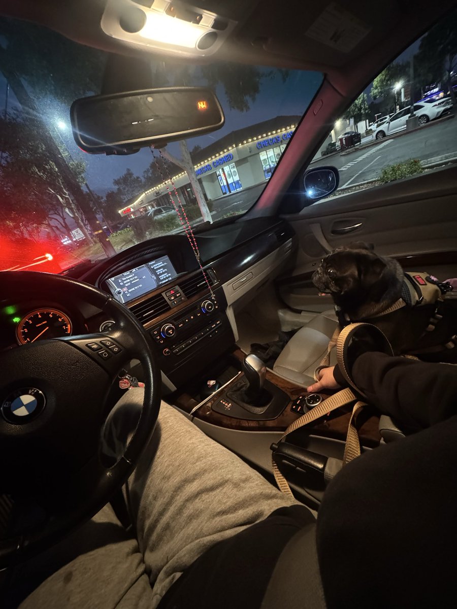 nairbair510's tweet photo. me and my black king💋🐕‍🦺

 #kash #blackpug #hayward https://t.co/33qjGb94N3