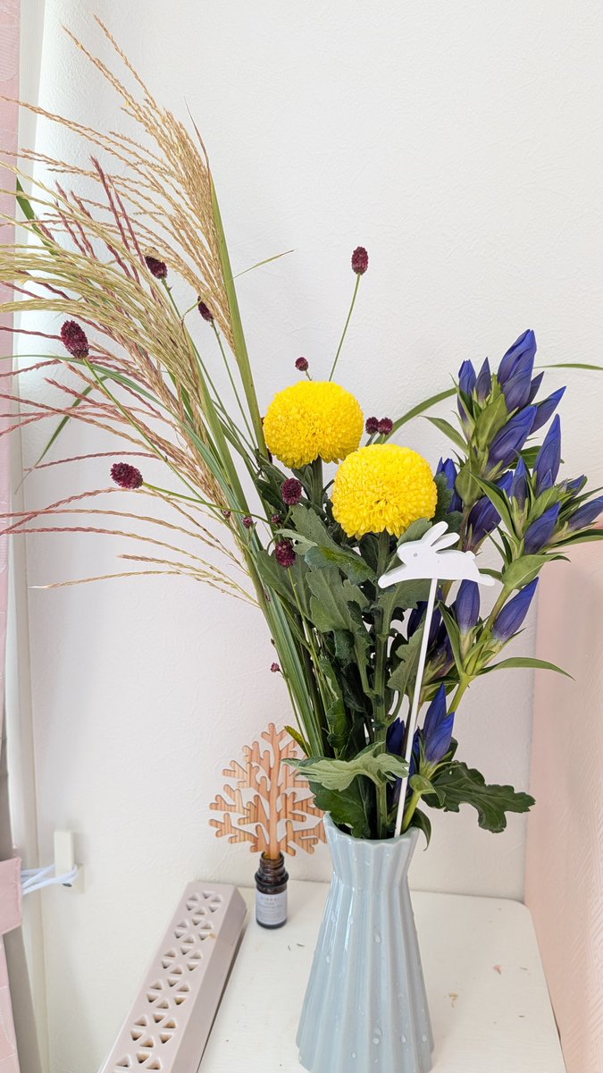 tuna_olive's tweet photo. お月見お花が届いたよ
あなたの好きなまあるいお花、選んだよ https://t.co/s7xYE8oSp9