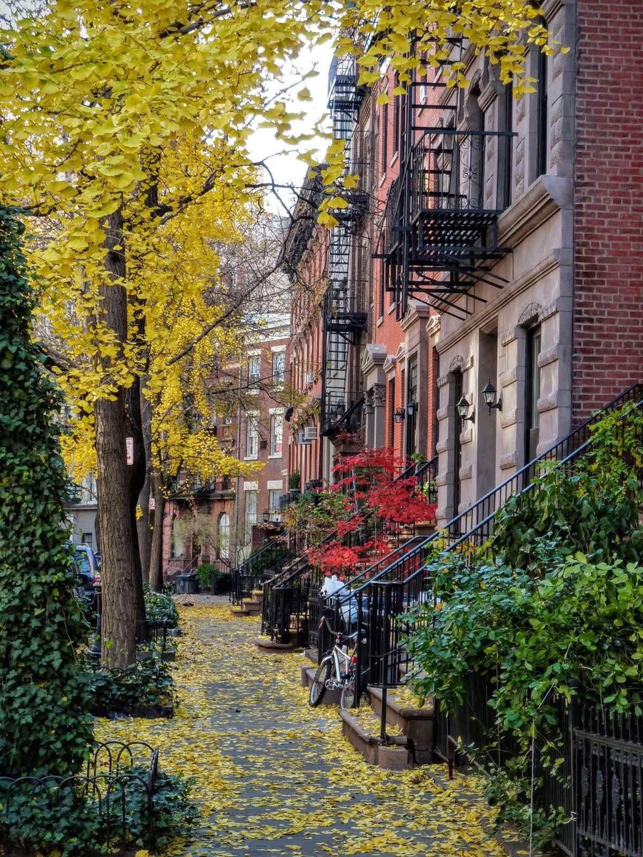 earthviewss1's tweet photo. Autumn in New York 🇺🇸🍂 https://t.co/sVvPq3IjSH
