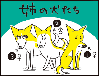 yama_imo208's tweet photo. 姉の犬③♀の好きなもの 1/2 https://t.co/tk5PA6g18g