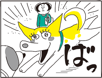 yama_imo208's tweet photo. 姉の犬③♀の好きなもの 1/2 https://t.co/tk5PA6g18g