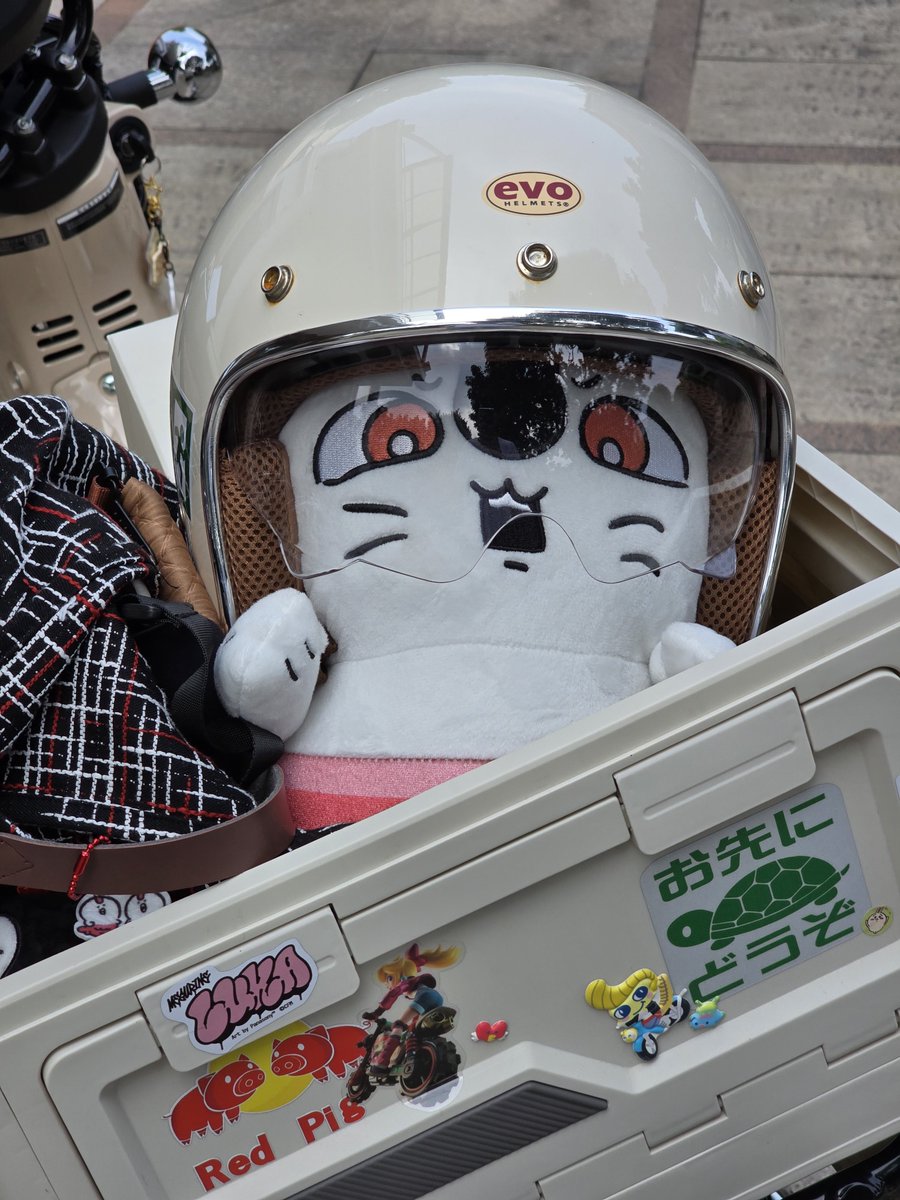 kkkkas_'s tweet photo. また変なところに連れて行くの！？ https://t.co/gxiT60UGvw