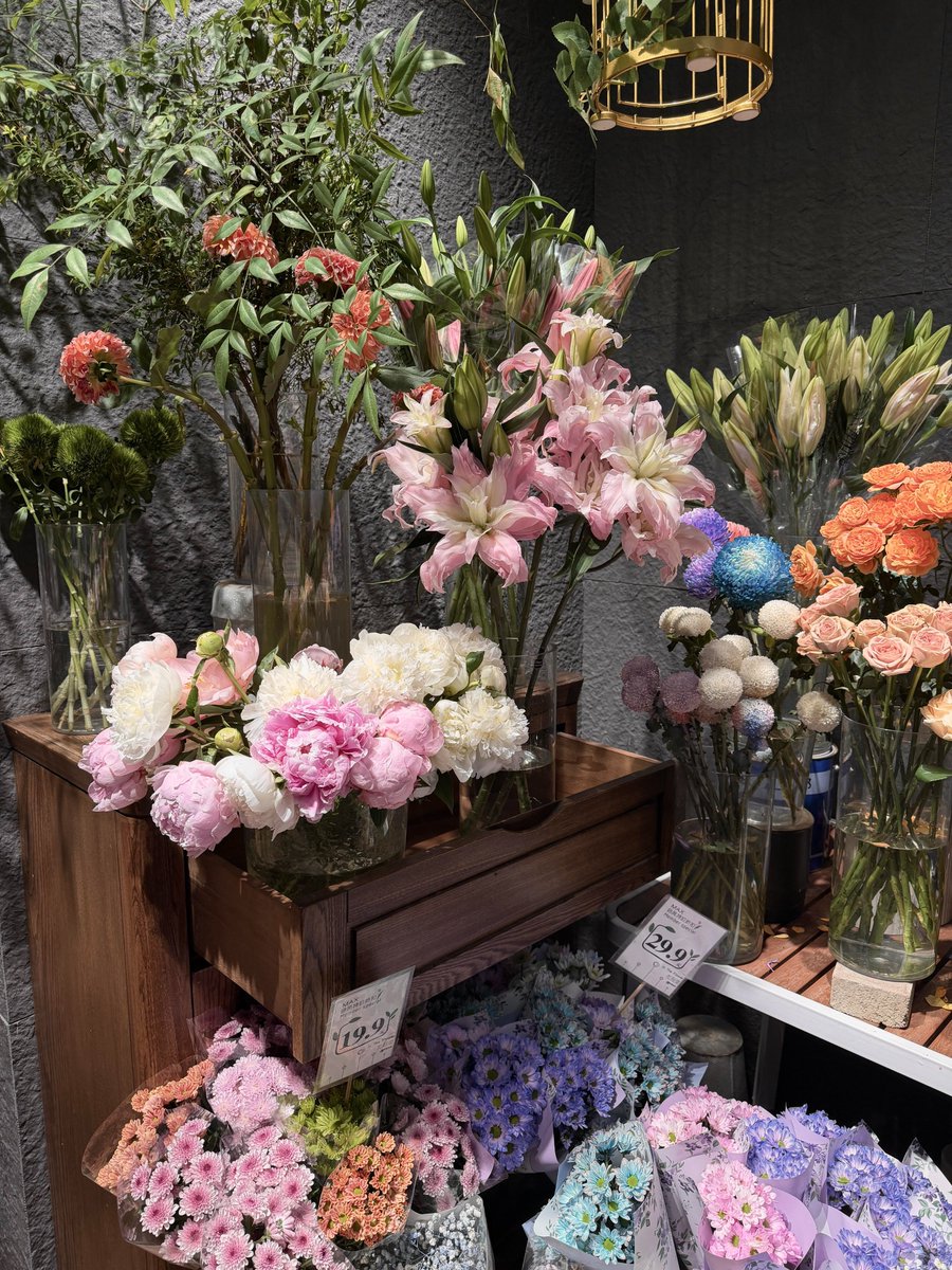ArthurSantos37's tweet photo. 🌷 花を見ると、忙しい毎日も少し忘れられるね🫧 https://t.co/CnzOlyo04e