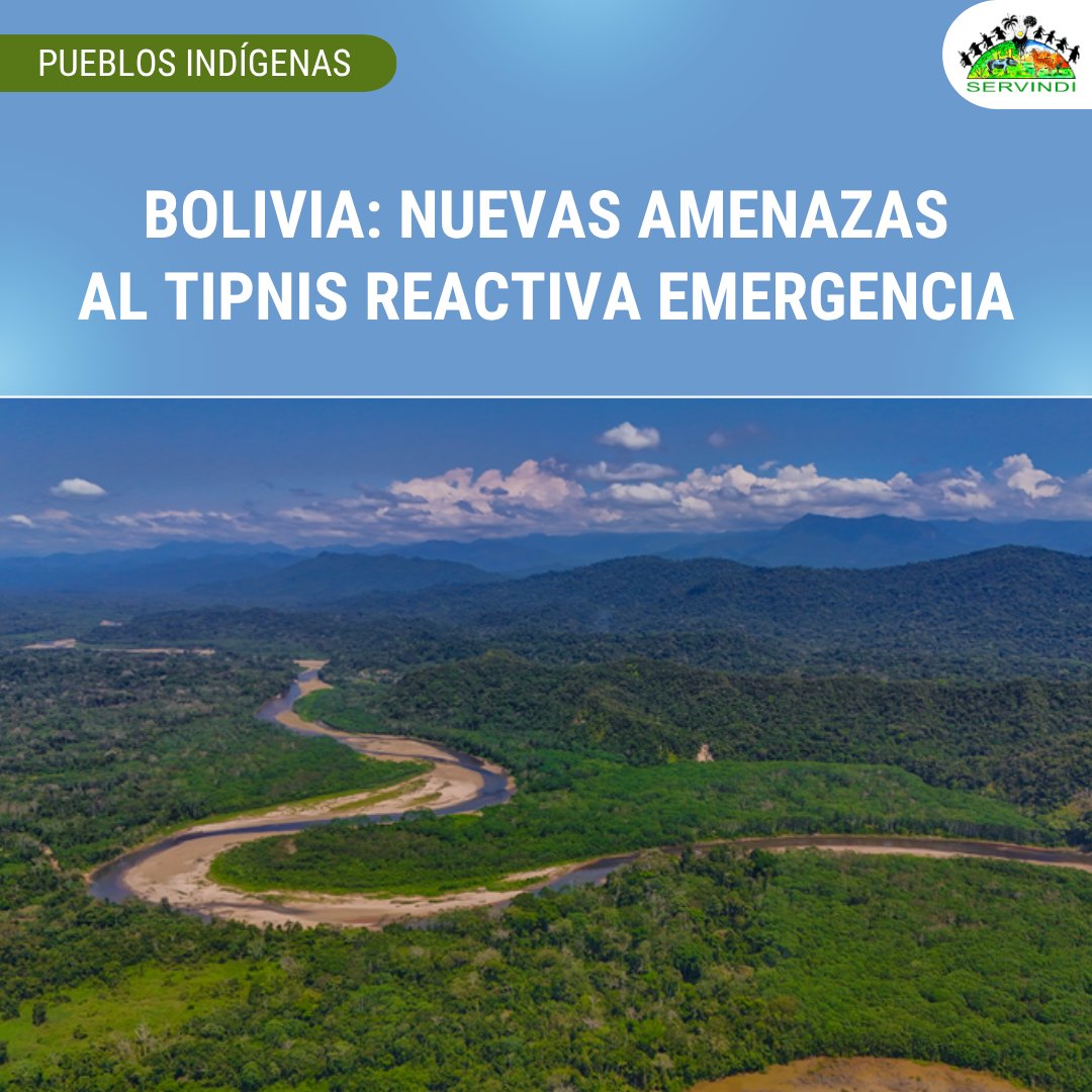 Servindi's tweet photo. 🇧🇴 #Bolivia Una nueva batalla libran las 76 comunidades del Territorio Indígena y Parque Nacional Isiboro Sécure (TIPNIS) frente a los intentos de reactivar la carretera Cochabamba-Beni y el debilitamiento del SERNAP... ⮕ https://t.co/JFeWCSQuKi https://t.co/Kh7Dr4hgXM