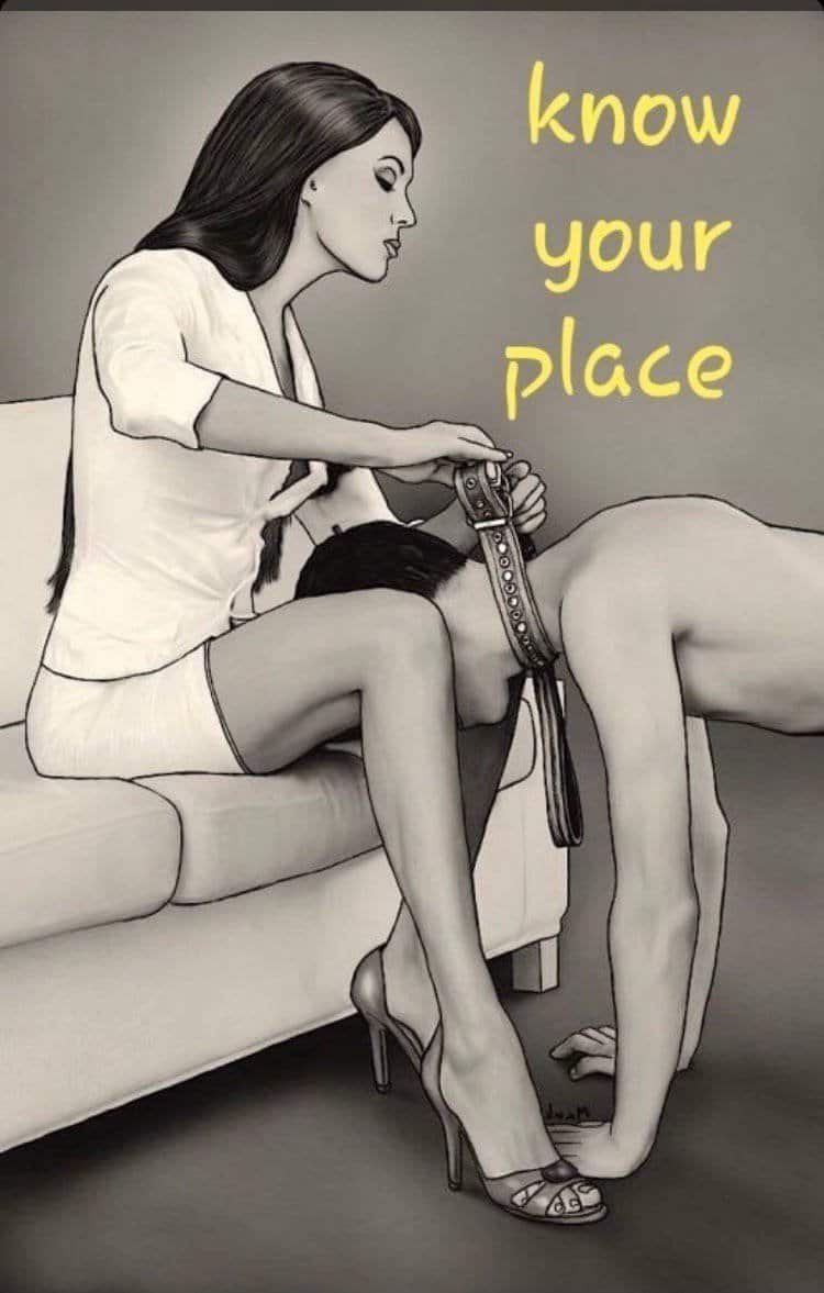 SlaveGoodboy's tweet photo. Know your place.
#femdom #sm #Slavemistress #slavedog #Volunteering #Owner https://t.co/ST8OA2KNLy