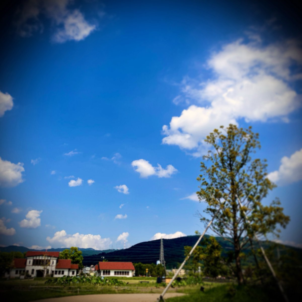 ty_masai's tweet photo. ◻︎…mostly cloudy.
.
.
.
.
.
.
.
.
.
.
▪️連休明けの、仕事場への道。昼からのレッスンです。
.
.
.
.
.
.
.
.
.
.
#homestudio #homestudios #homestudiolife #homestudiorecording #mixing #mixingandmastering #arranger #arrangermusic #daw #theway #thetree #thehouse #esp #espguitar https://t.co/b3D4U6Irp4