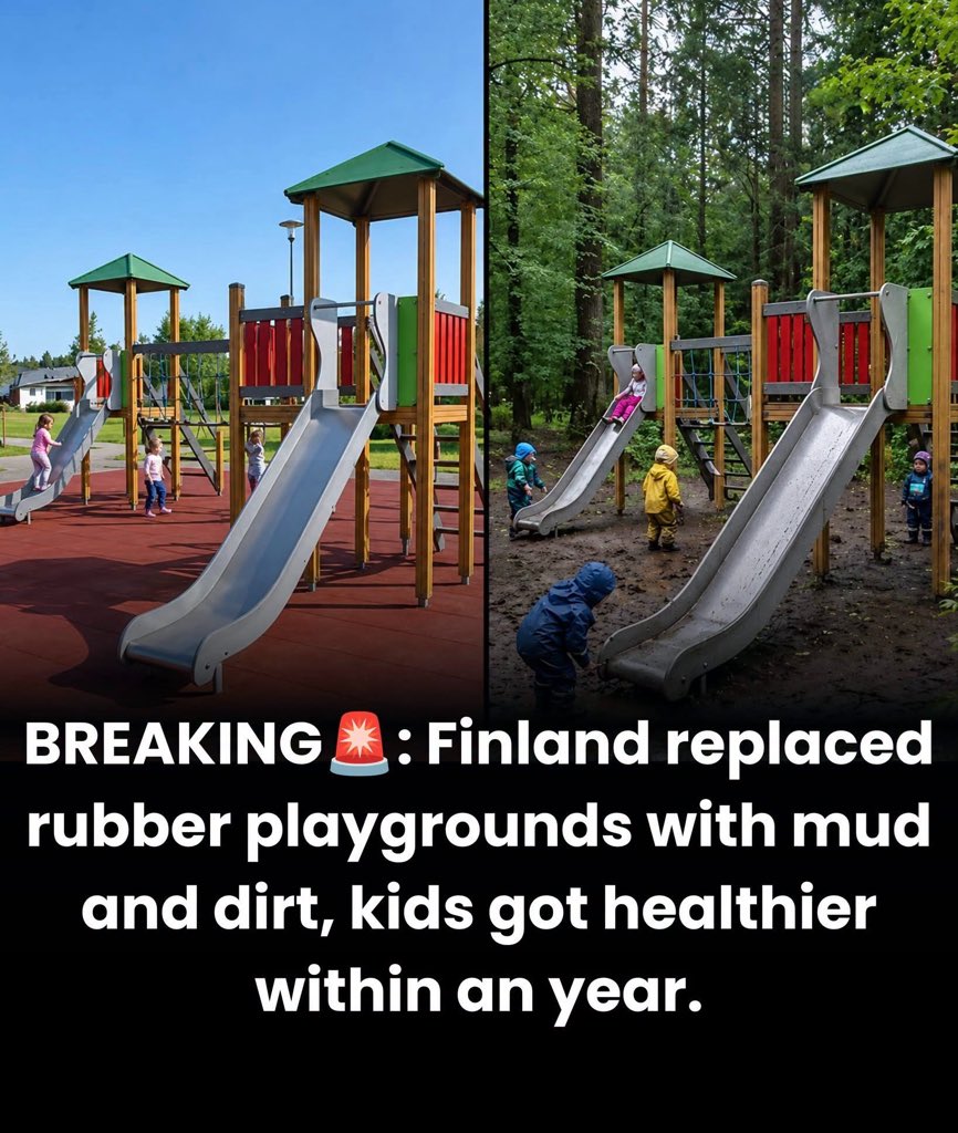 ShiningScience's tweet photo. They Changed a Playground. 28 Days Later, Something Inside the Children Had Changed.

A group of Finnish researchers made a surprisingly simple change to daycare playgrounds: they brought in more nature.

Gravel areas were replaced with patches of grass and forest-floor vegetation. Planting boxes were added, along with real soil and plants. Then researchers followed 75 children between the ages of three and five to see whether spending time in these greener spaces would make any difference.

The children usually spent around 1.5 hours outside each day.

After just 28 days, the researchers found a noticeable change.

The children playing in the greener yards had a wider variety of microbes living on their skin. Their gut microbiota also began to look more like the gut microbes found in children who regularly spent time in forests.

Then came the part that caught researchers’ attention.

Changes were also seen in markers linked to immune regulation. Children with greater microbial diversity showed increases in regulatory T cells and TGF-β1, together with changes in inflammatory signaling such as IL-17A.

Why would a playground affect the immune system?

One possible explanation is that natural environments expose children to a much wider range of harmless microbes from soil, plants and other parts of the environment. Early in life, the immune system is still learning what deserves a strong response and what does not.

A modern urban playground may offer very little of that microbial variety.

A patch of soil and vegetation can offer much more.

Follow-up research even found that some changes in the playground soil and children’s microbiota remained detectable after the original intervention.

This does not prove that children who play in nature will avoid allergies or autoimmune diseases. The researchers did not establish that.

But the experiment revealed something easy to overlook: changing what surrounds a child can change the microscopic world that surrounds — and lives on — that child.

The difference was not a new medicine or an expensive treatment.

It was grass, plants, soil and a little more contact with nature.

And it happened in only four weeks.

Source: Science Advances; University of Helsinki