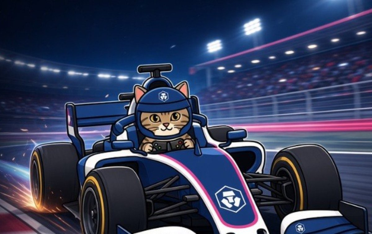 RaceCatToken's tweet photo. @VVS_finance We're in!! https://t.co/cumf5SERrB