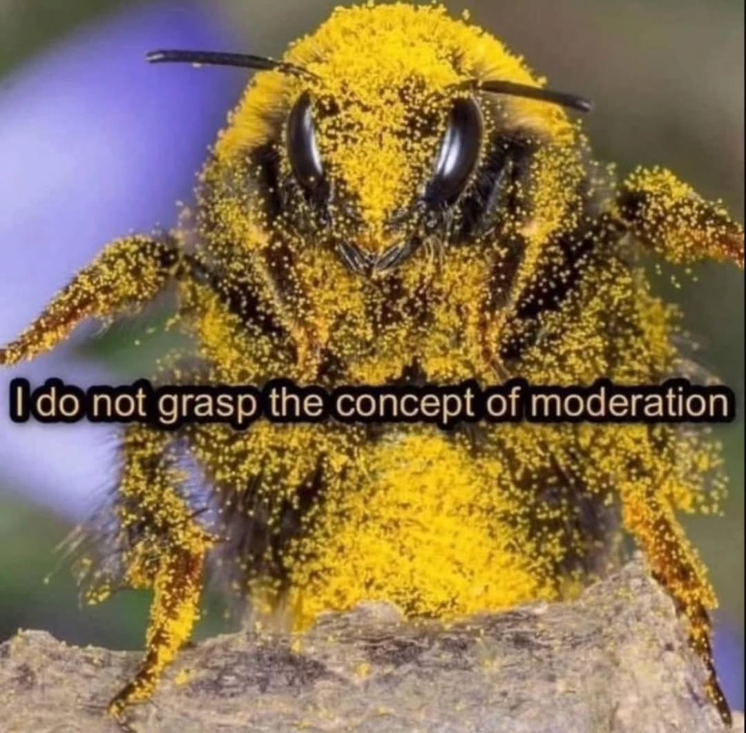 HuongMenees's tweet photo. Photo by 𝕿𝖍𝖊 𝕽𝖊𝖉 𝕶𝖎𝖓𝖌𒉭 on September 03, 2026. May be an image of bee and text that says "I Ido not grasp the concept of of moderation". https://t.co/x7NpIC5eEp