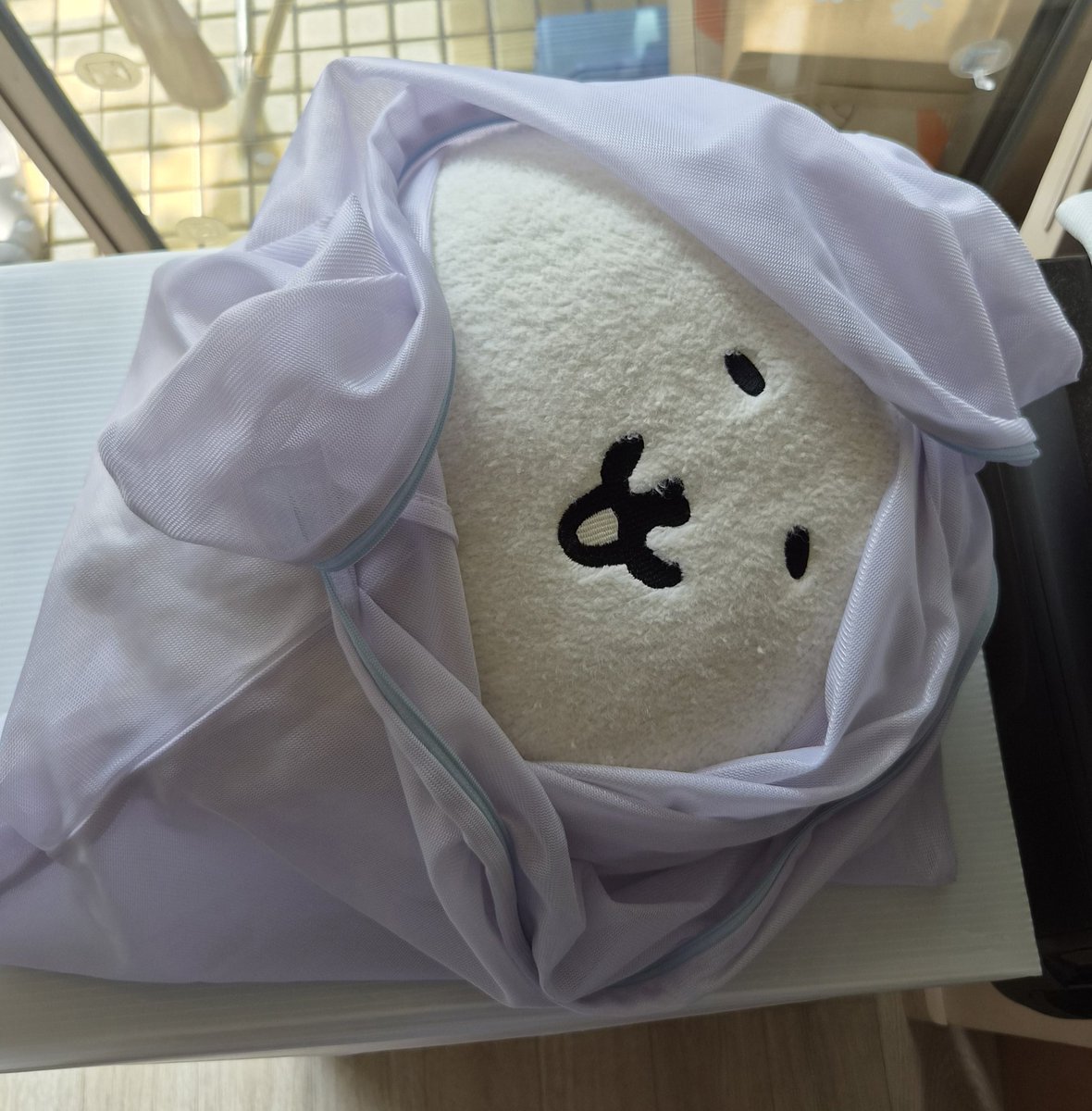 LOS_Damgome's tweet photo. 날씨 좋으니까 목욕하자 후와모찌.
 \아?! 에에???/ https://t.co/GMcLZbl7x1