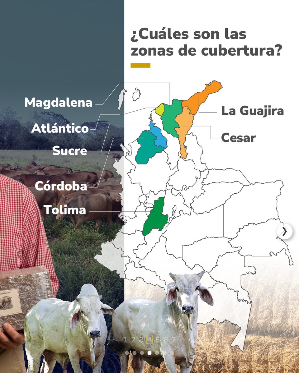 MinAgricultura's tweet photo. #ForrajesMilagro 🐄  es la mayor apuesta del #MinAgricultura para apoyar a los pequeños ganaderos afectados por el #FenómenoDeElNiño ☀️en el #Caribe y el #Tolima. 📍 https://t.co/XiJVMePc0u