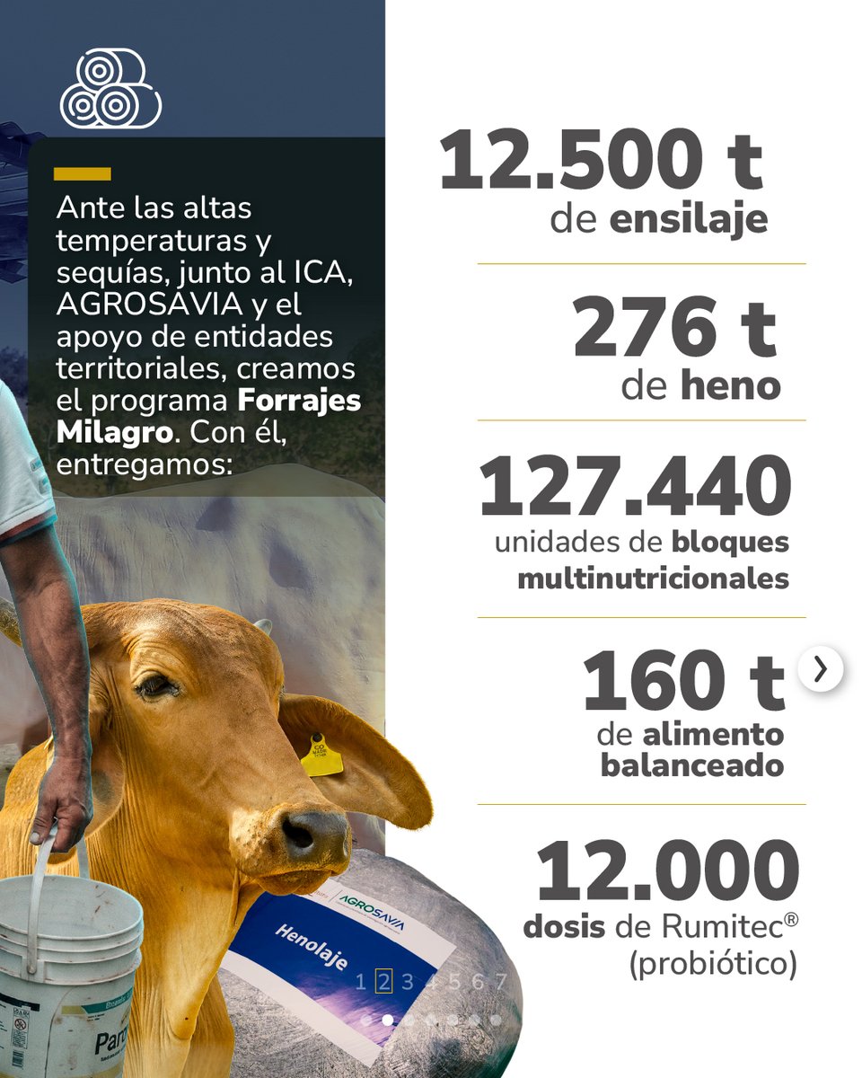 MinAgricultura's tweet photo. #ForrajesMilagro 🐄  es la mayor apuesta del #MinAgricultura para apoyar a los pequeños ganaderos afectados por el #FenómenoDeElNiño ☀️en el #Caribe y el #Tolima. 📍 https://t.co/XiJVMePc0u