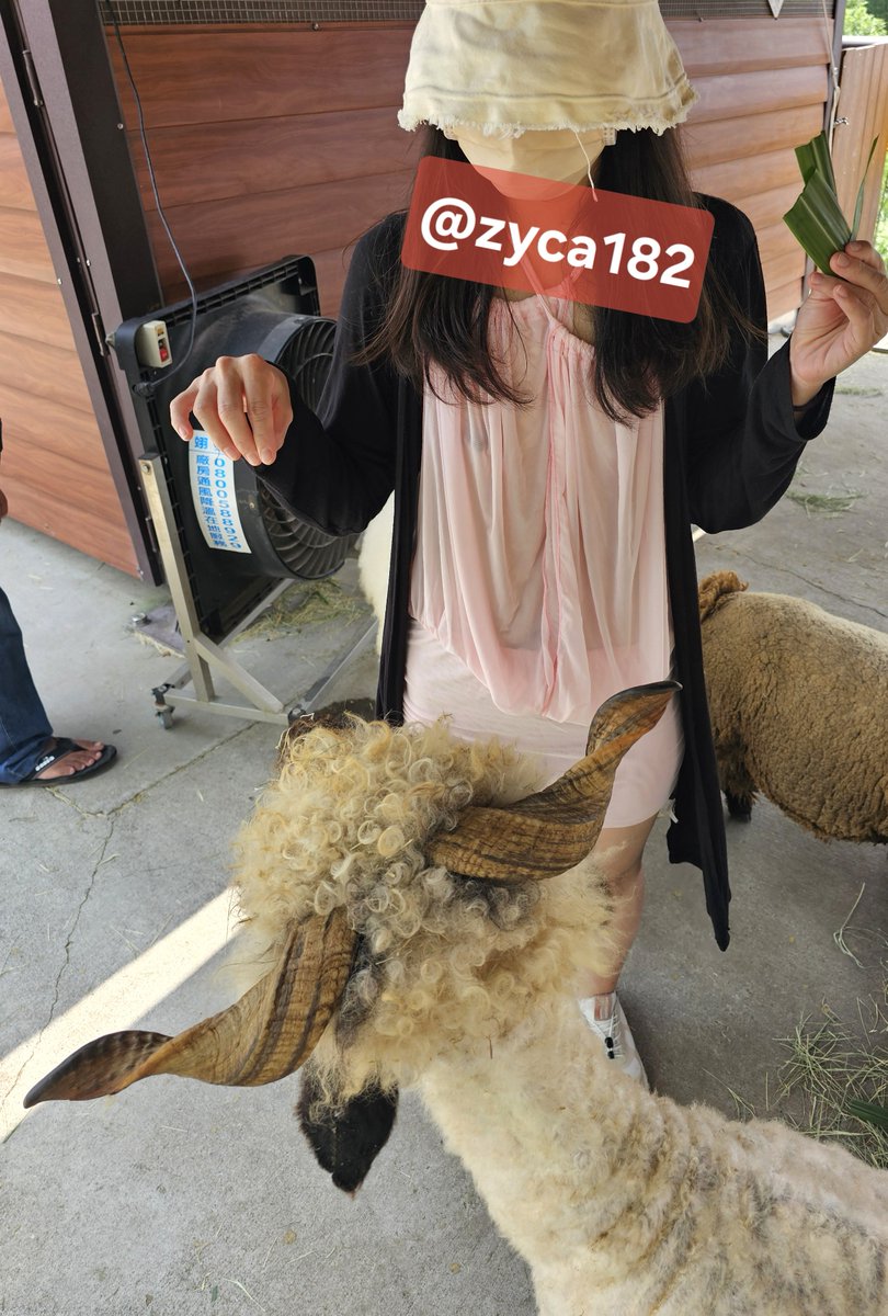 zyca182's tweet photo. 不知道這樣子餵羊羊，還有排隊入場
現場有多少爸爸們注意到我們的福利發放呢？
這地方雖然CP值不高，但人還是不少
一路上我發現有看到福利的爸爸們寥寥無幾，都有專注盯著自己的孩子跟動物，很棒～

後來想想假日親子遊這樣低調一點也好～
對吧？ https://t.co/gprZBQkVCJ