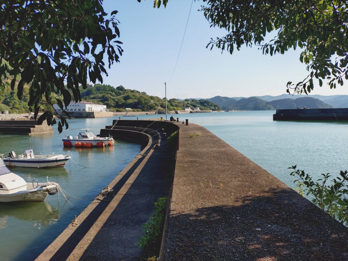 imamon0528's tweet photo. 隼人で集合→姶良→伊佐で合流→芦北→天草で一泊→フェリーで長島→出水→えびので解散
#放課後ていぼう日誌　#芦北　#RVF #himalaya　#TZR https://t.co/j90MVEgvMG