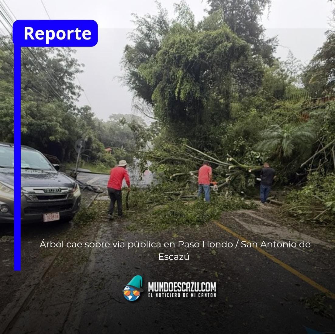 mundoescazu's tweet photo. #Reporte Árbol cae sobre vía pública en Paso Hondo / San Antonio de Escazú https://t.co/Sso2YZfyLY