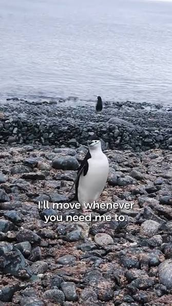 imacutepengu's tweet photo. 5. everyone love you! https://t.co/RU1gvxYtzW