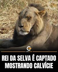 Wenzio825's tweet photo. não deu certo tentar consertar o controle, vou ter que pagar 200 reais em um que seja bom e que dure https://t.co/SmUr4VnLO2