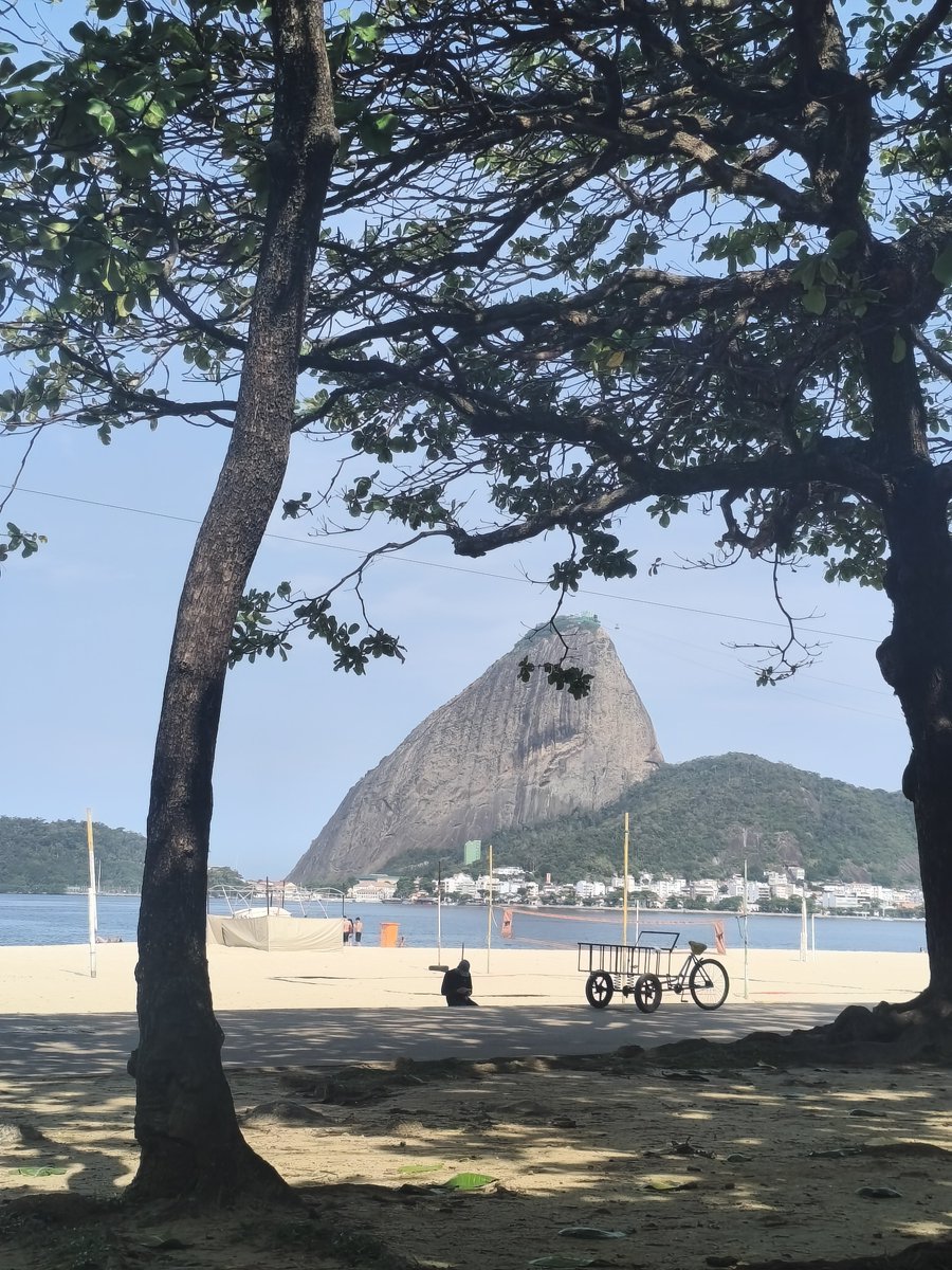 bdsmono's tweet photo. eu ontem no meu horário de almoço indo tranquilamente ali na praia sentir a brisa e observar o pão de açúcar https://t.co/gzFk34D5Mt