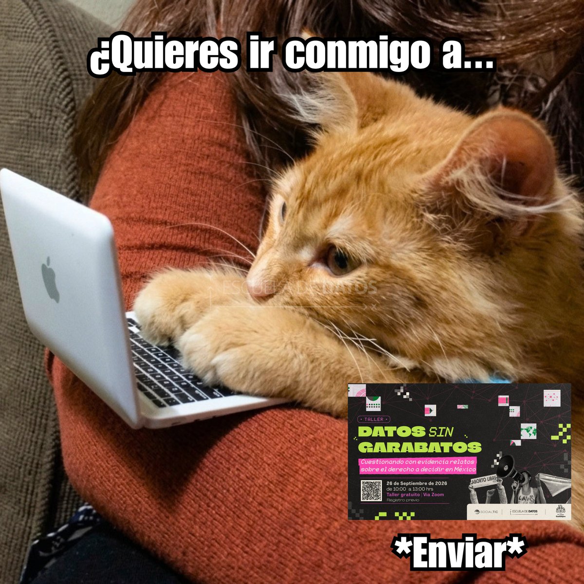 EscuelaDeDatos's tweet photo. #México |

🐱💻💚 Tú + yo, junto a @paomrom, dateando por el derecho a decidir en 🇲🇽...

😼🐾 ¡No sé! ¡Piénsalo!

👩🏽‍💻🔥💚 ¡Faltan 3️⃣ DÍAS para nuestro taller GRATUITO “Datos sin garabatos”! 💚🔥👩🏽‍💻

📋 ¡Aparta tu lugar! ¡Los cupos se van volando! ➡️ https://t.co/6FxjMBwTrY https://t.co/MCZUzKyunm