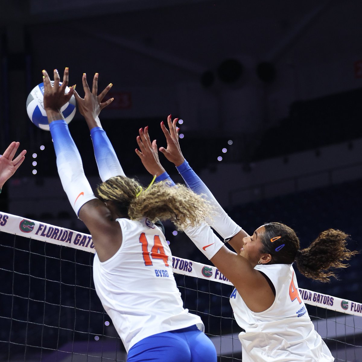 GatorsVB tweet picture