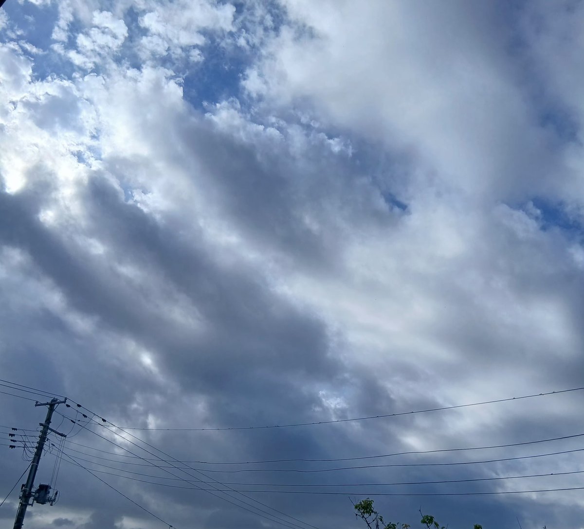 hanatare79's tweet photo. おはようございます☁️

天気曇り　気温17.5℃　湿度92%
日中は晴れるようだけど今は雲が多いです

朝晩はだいぶ涼しくなって来たけど、日中はまだ汗をかくぐらい暑いです💦

体調には気を付けて今日も一日良い日を‼️

#大仙市 https://t.co/7BGPgLITpX