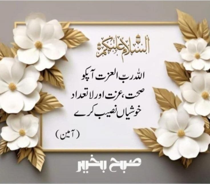 NatureloverIM's tweet photo. اسلام علیکم ورحمتہ اللہ وبرکاتہ صبح بخیر زندگی https://t.co/fDYnBVAyBz