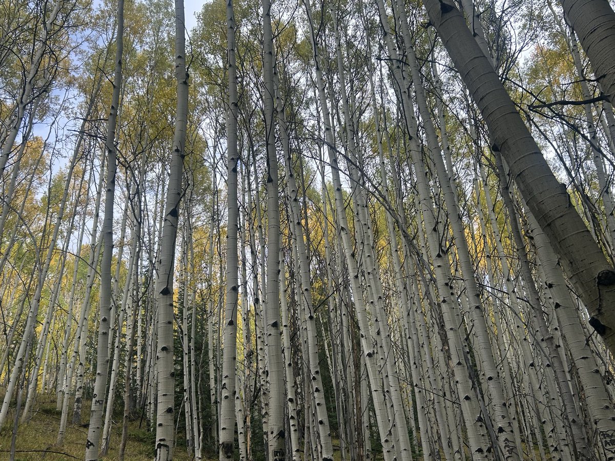sarahhhhh__e's tweet photo. Missing the mountains right about now. Also, I know I’ve said this before and I’ll say it again, our public lands are NOT for sale ❤️ #optoutside #protectourpubliclands #colorado https://t.co/9l7flZje0S