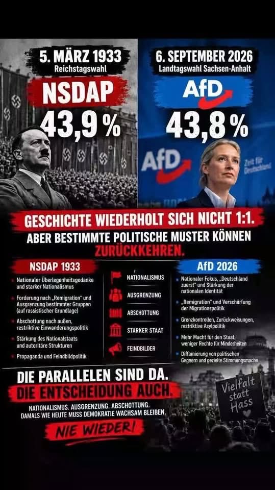 AykCritical's tweet photo. @DeutscherSchfe3 @EddyMahonie Bleib bei deinen Deutschen Schäferhunden, dann richtest du weniger Schaden an🤯🤯‼️ https://t.co/QqFasTWEPY