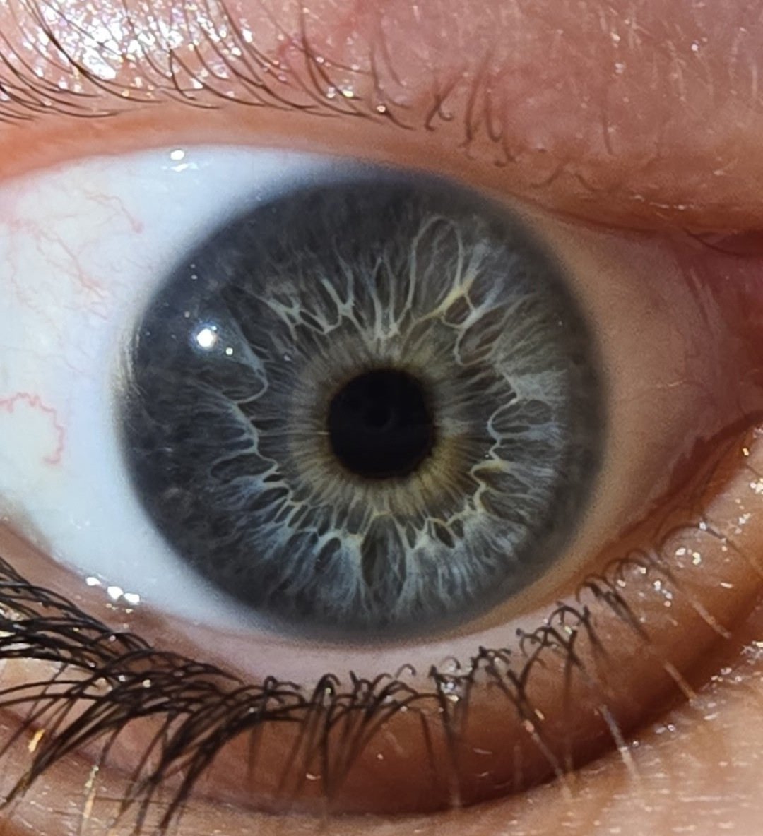 NovaeStars's tweet photo. hollllyyy
probably the best eye pic I have https://t.co/G0nCHQomTO