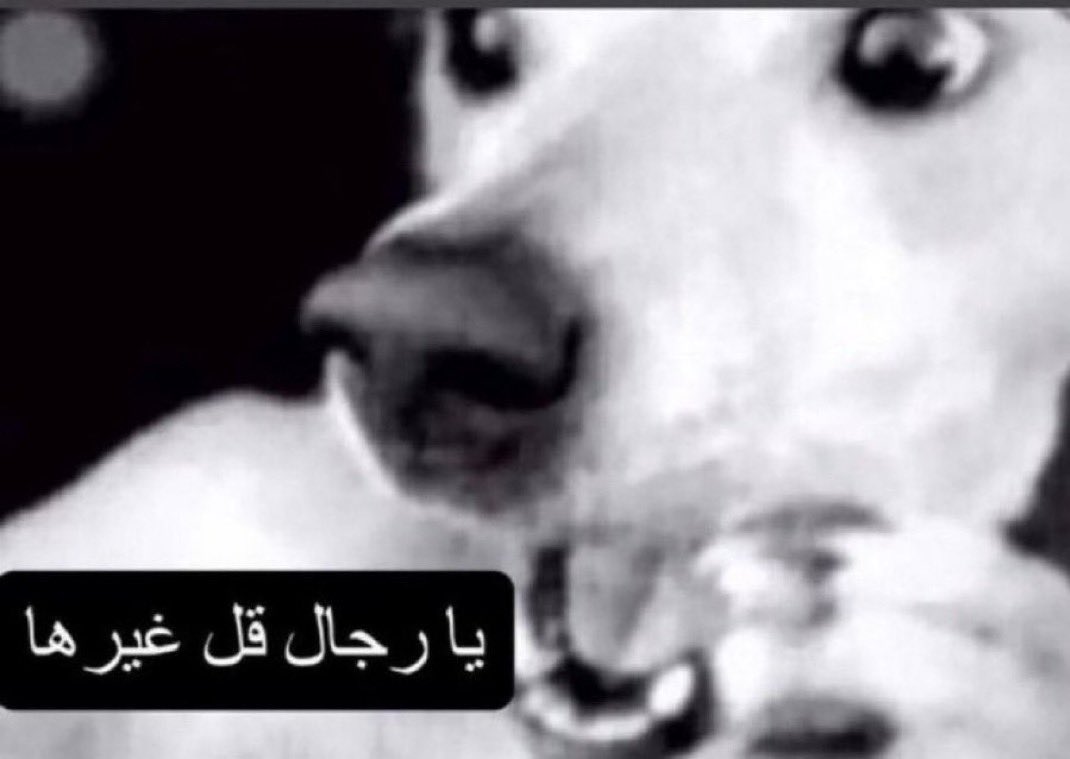 hardestfeel's tweet photo. @godsavenzo انت بعد ماهايطت وخسرتو: https://t.co/TpmBE7XbnI