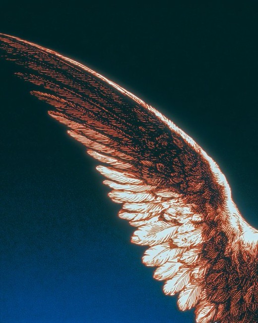 moonXllc's tweet photo. Wings of the deep mind.

Good night.

#moon #opal #opalmind https://t.co/F4Fvb7eCCe