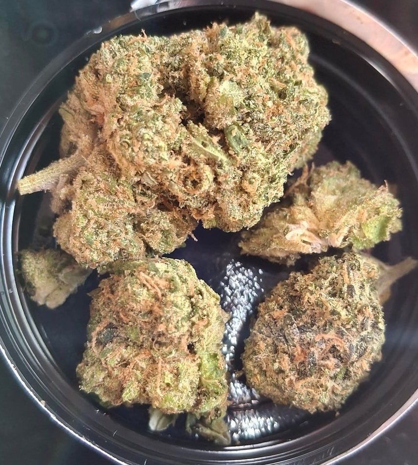 MaconhanoX's tweet photo. Cardápio📋👇
https://t.co/SnBZvJrdEw

PRENSADO
CAPULHO
GOLD
SKANK
COGUMELOS
DRY
HAX
ICE
COMPRA MACONHA 
MACONHA EM SALVADOR
À VENDA

#delivery #riodejaneiro #maconha #skank #SãoGonçalo #colombiagold #DuquedeCaxias #NovaIguaçu #cremas #ice #fullmelt #cremas #crumble #flor https://t.co/3av0lziDW4