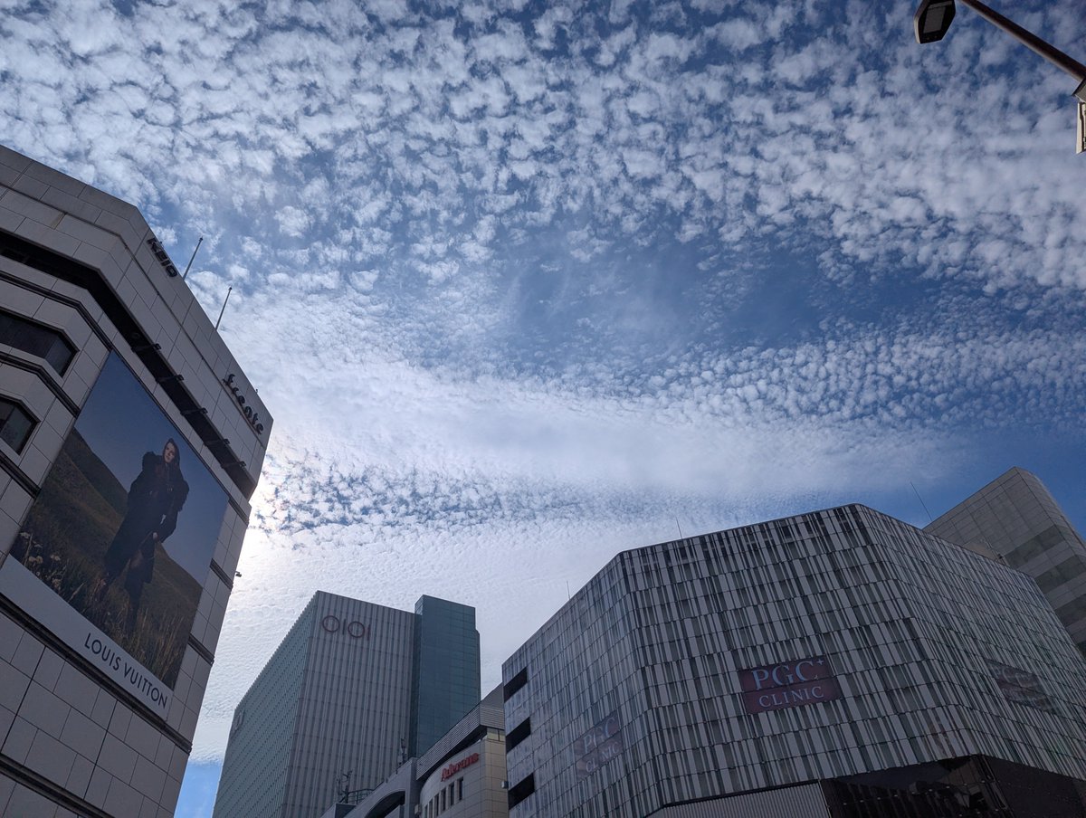 GALTONKATSU's tweet photo. 秋雲。 https://t.co/cglzE6xB9u