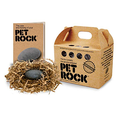 stevepaskevich's tweet photo. @HazelLiaqa4848 His name is Rocky https://t.co/719e5kOuBb