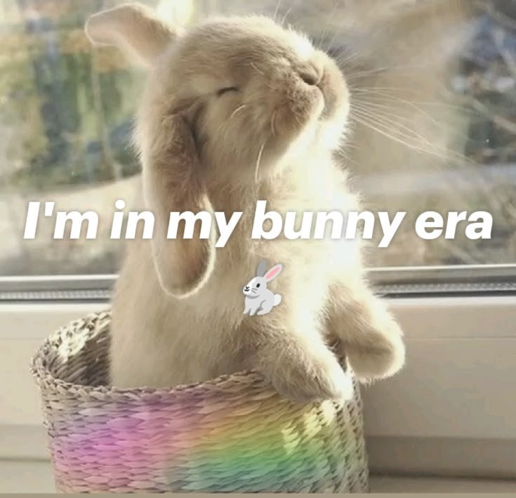 popularrabbit's tweet photo. https://t.co/9brkeUJAQ4
