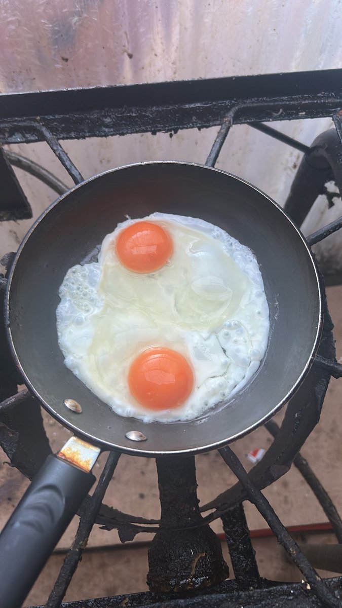 irregintellect's tweet photo. My eggs look British https://t.co/zLj27lQQhE