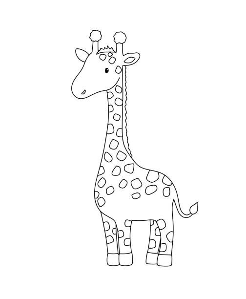 datamphayqwhn's tweet photo. トキが峠のほとりで静かに巣を作る。 https://t.co/9laXrvAfps