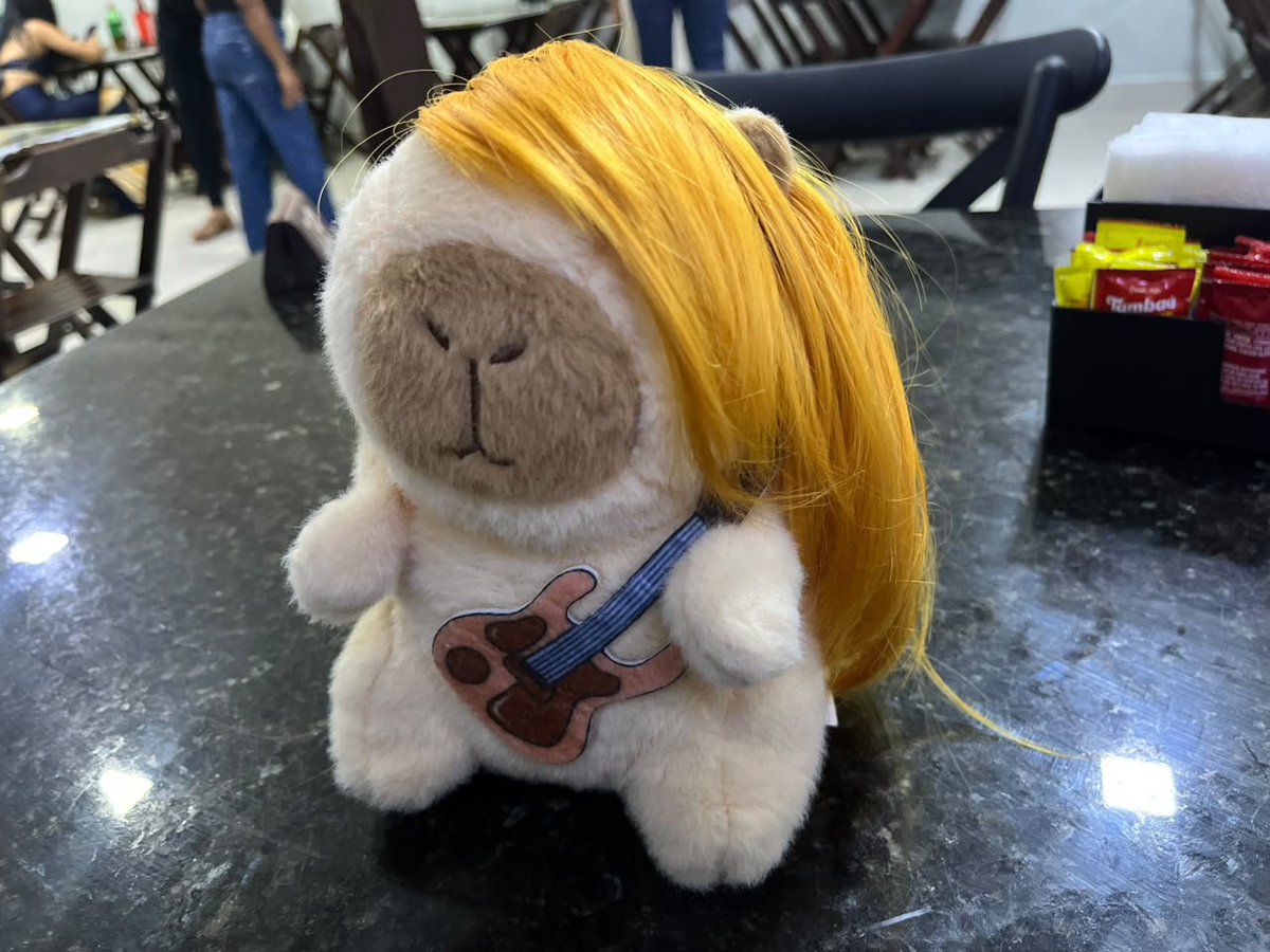 starkelly_'s tweet photo. capy williams (hayley williams versão capivara https://t.co/JBcWDM5OgS
