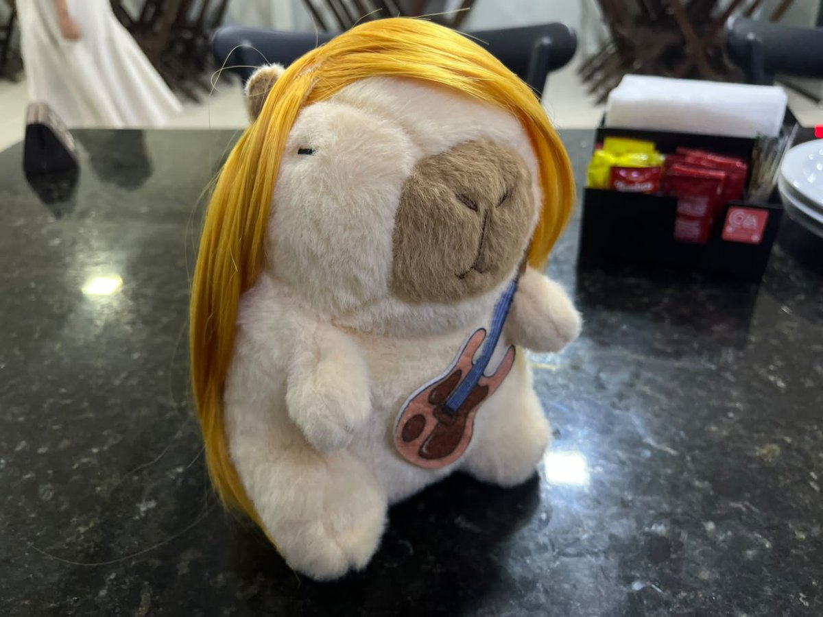 starkelly_'s tweet photo. capy williams (hayley williams versão capivara https://t.co/JBcWDM5OgS