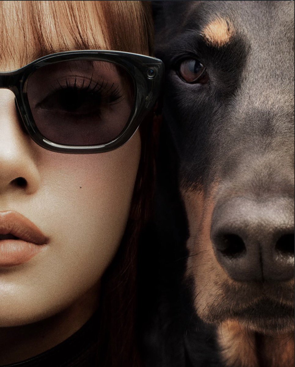 idatelalisa's tweet photo. LISA has officially partnered with Meta for Meta Glasses, featuring two signature styles and 14 surprise charms inspired by her pets. https://t.co/KPF8UEXAq1