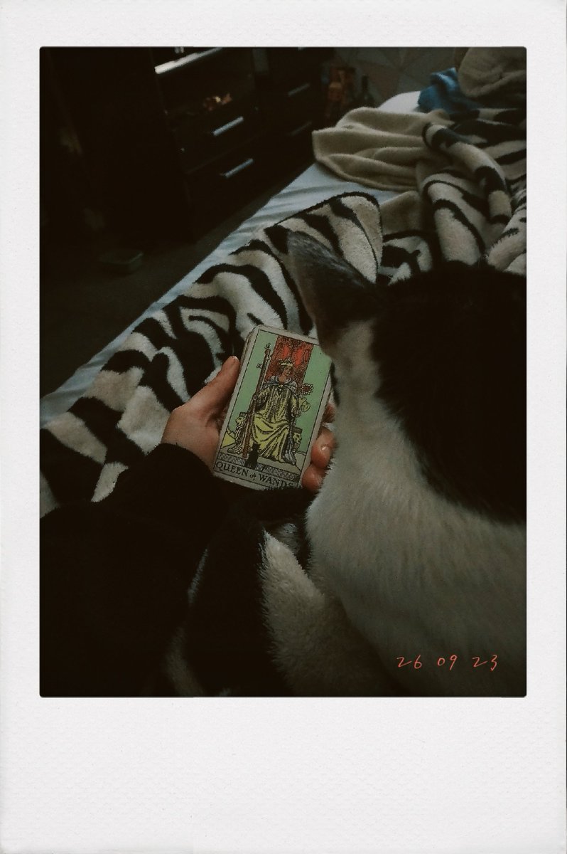 heleeeenoftroy's tweet photo. Coloquei a rainha de paus na frente do deck, fui ver o fundo do deck e eis que

coisas q só acredito vendo mas nem vendo eu acredito https://t.co/JMcT6opNsm