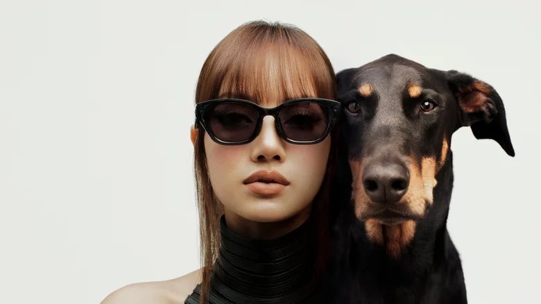 lalisamgger's tweet photo. #LISA for the meta glasses, available with 14 charms of your animals. https://t.co/J5xxwYyTHv