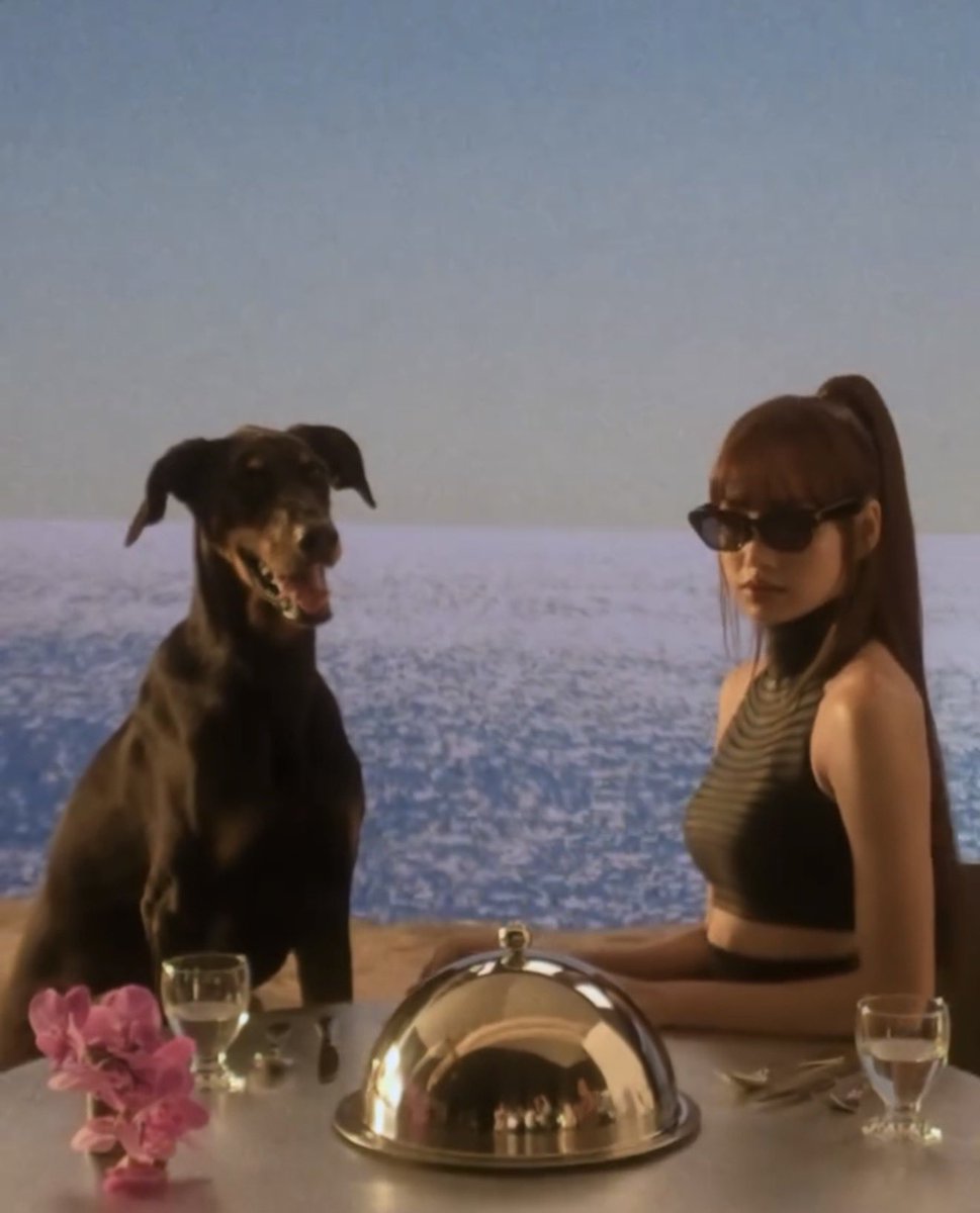 skemzei's tweet photo. lisa with her pet inspired glasses omhgg https://t.co/AeNoXB0kQf