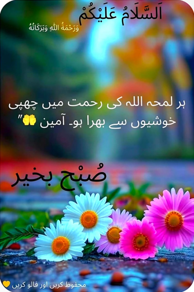 TZM_Zamzama's tweet photo. السلام علیکم و رحمتہ اللہ و برکاتہ 

صبح بخیر 

 یا اللہ رب العالمین، ہم سب پر اپنا رحم و کرم فرما، تنگدستوں کے رزق میں وسعت فرما، بیماروں کو شفاءکاملہ عطاء فرما، ہمیں ہمیشہ صبر و شکر کرنے والا بنا اور ہماری  دنیا و آخرت سنوار دے۔

 آمین یارب العالمین https://t.co/DKm6Qyej70